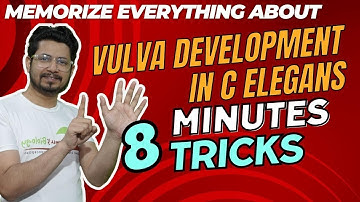 C elegans vulva development for csir net developmental biology | Vulva formation in c elegans