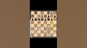 ALEXEI SHIROV VS KLAUS BISCHOFF (2005 YR.)