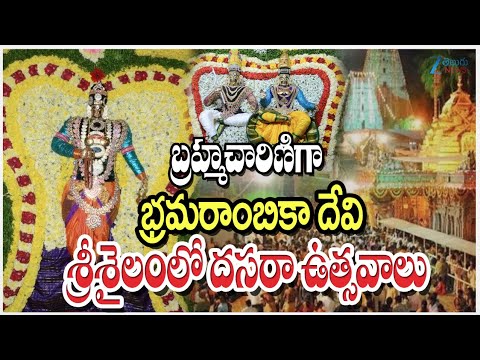 Srisailam Dussehra Mahotsavam 2025 | Bramarambika Devi | Devi Brahmacharini | Zee Telugu News - ZEE24TELUGUNEWS