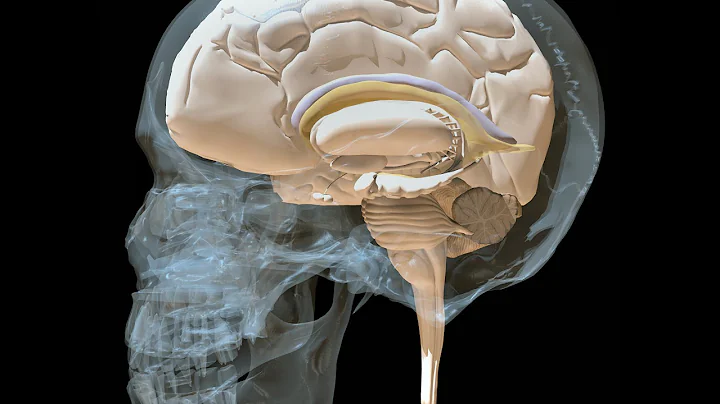 Craniosacral Biodynamics with Roger Gilchrist