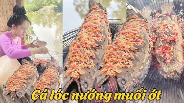 món ăn dân dã miền tây,cá lóc nướng muối ớt ,em mời mọi người nha l vanphong vlog