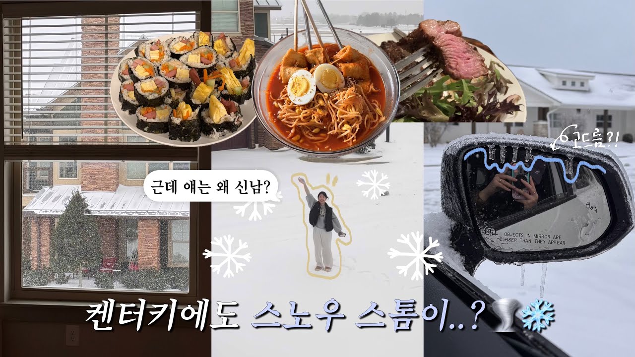 미국일상 vlog | 하루 아침에 눈폭풍 맞은 켄터키 시골, 집밥 해먹는 새댁 일상(매운오뎅, 밤티 김밥, 스테이크•••)