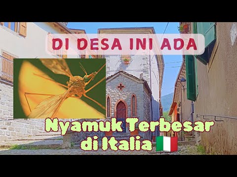 Video: Bagaimana Menelepon Italia