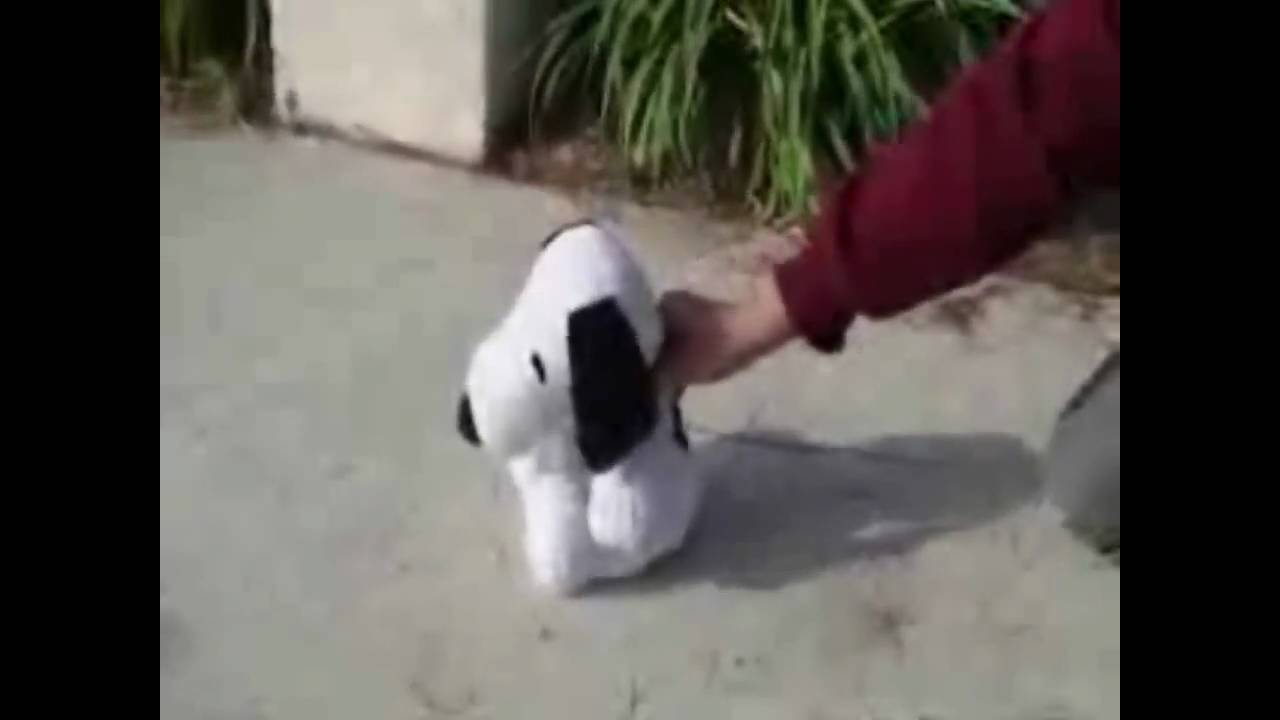 Subscribathon : Episode 6 - YouTube