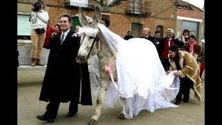 ههههههههههه بحبك يا حمار