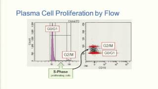 Plasma Cell Proliferative Disorders: Use of the Laboratory for Diagnosis and Prognostication