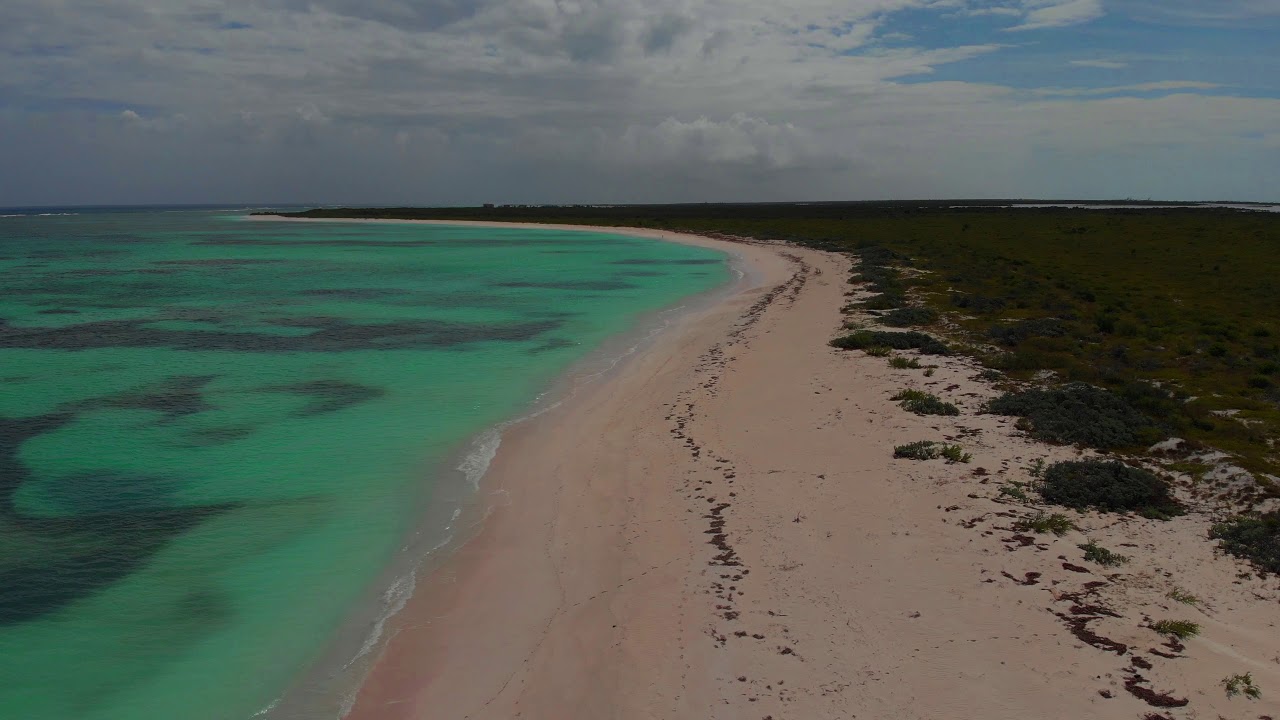 BVI Rough Cuts 4 - Anegada - Cow Wreck Beach