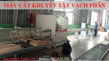 MÁY CẮT VẠCH PHẤN LỰA CHỌN PHÔI TỰ ĐỘNG WOODMASTER WM-S260