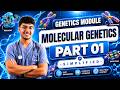 Molecular Genetics PART 01 - DNA Structure and Physical Properties