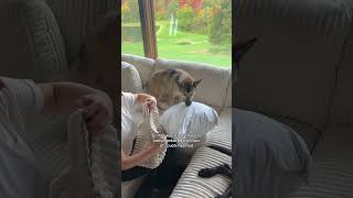 The perfect couch for dog moms 🐶 Aesthetic, washable, & comfortable | Lindyn Sectional from Ashley✨