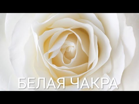 Белая Чакра, Качества, Белые Души