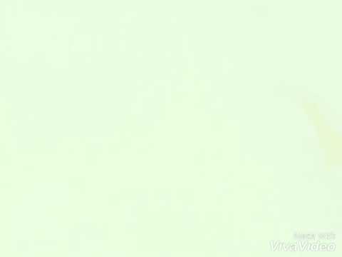 حبه جنة انا عشت فيها شيرين عبد الوهاب 
