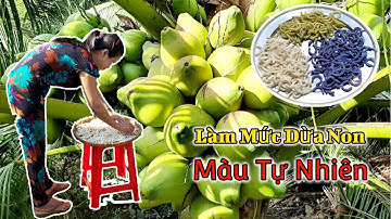 Mứt Tết | Cách làm mứt dừa non đơn giản màu hoa đậu biếc , màu lá dứa không bị chảy nước - Bếp Quê