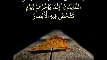 ولا تحسبن الله غافلا عما يعمل الظالمون 🤲بصوت الشيخ نايف الفيصل ❤️تلاوة تريح القلب و الطمأنينة 🤍