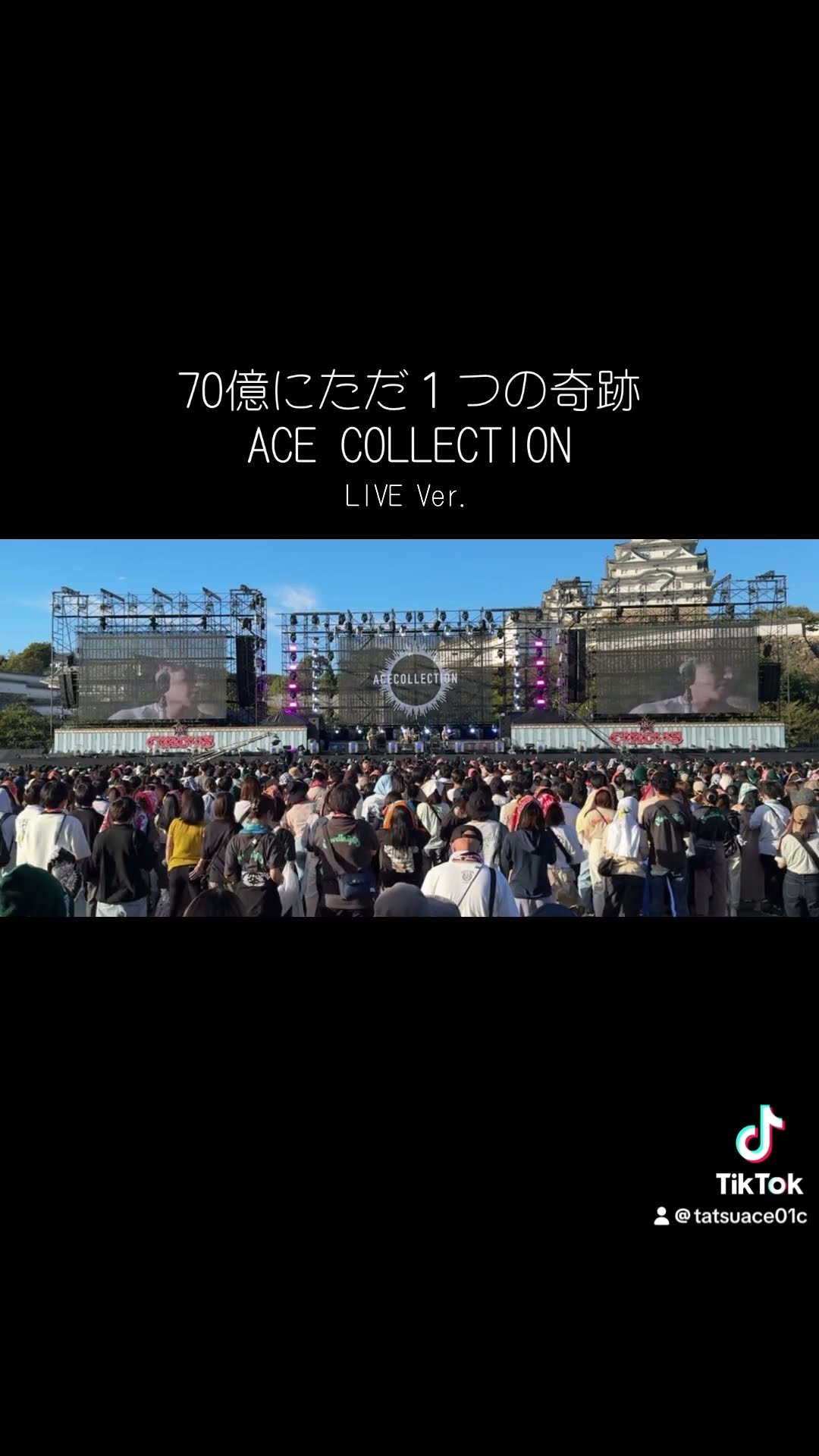 ACE COLLECTION パーカー XL エース・コレクション たつや◎ ACE COLLECTION パーカー XL エース・コレクション たつや◎ ACE