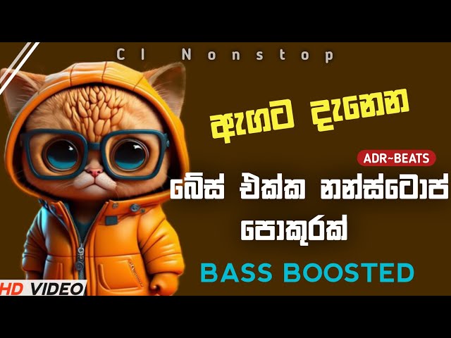 සුපිරි බේස් සින්දු TikTok Hits Sinhala Songs 2024 |New sinhala Songs class=