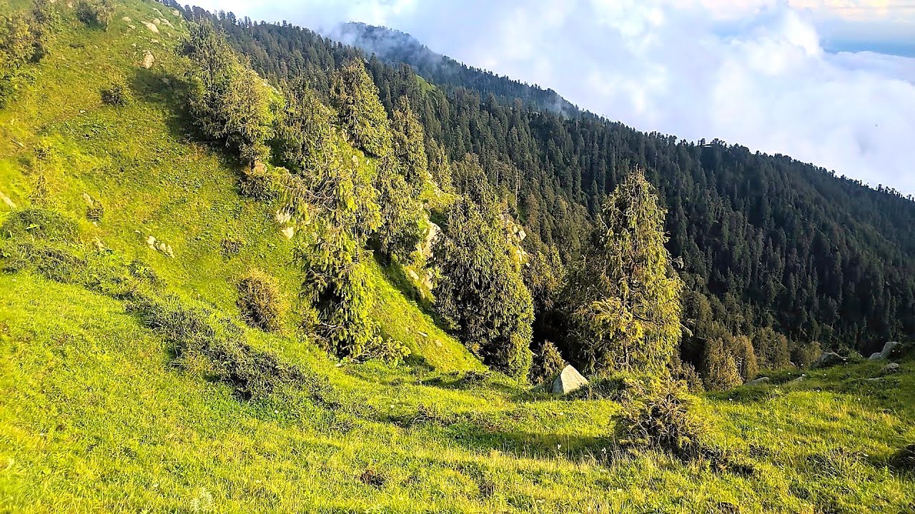 Top rated Tourist Attractions in Pathankot, India | 2020