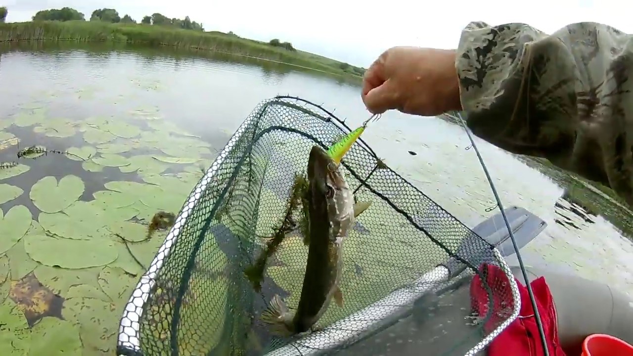 st.croix legend extrim 76mf + osp rudra и другие