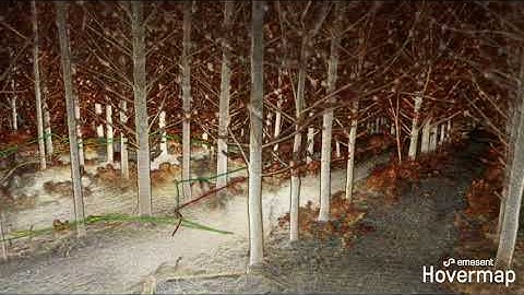 Hovermap under canopy forestry mapping flight 1080p