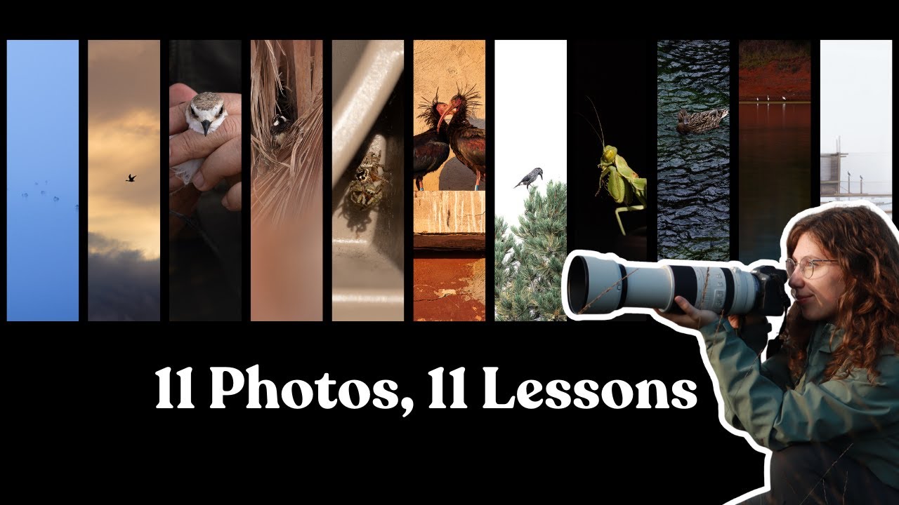 Год, когда я фотографировал птиц хуже всего, преподал мне самые важные уроки.