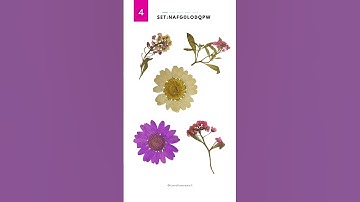 Here are CANVA Scrapbook Elements that you should try!