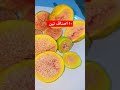 تين وما ادراك تين ١٠ صنف تين وما ادراك تين ١٠ صنف