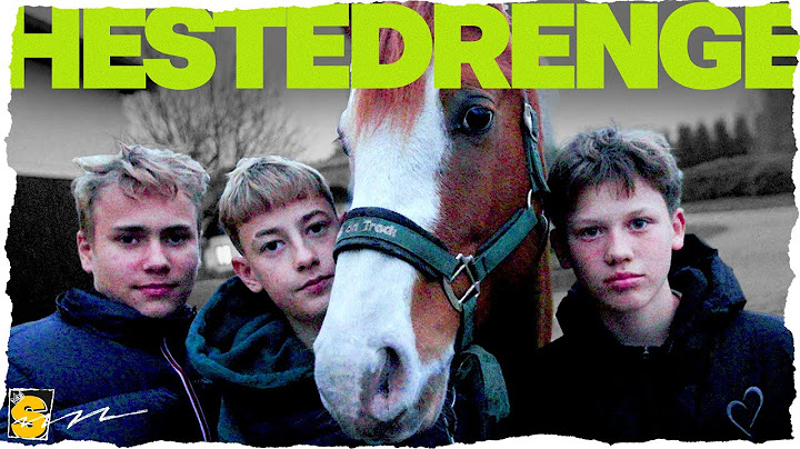 Snakker aldrig om mit heste-life | STATUS