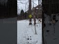 Mountain bikers be like #viralvideo #mtb #mountainbiketricks #bicycle #shorts