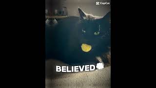 Thank You For 515 Subscribers