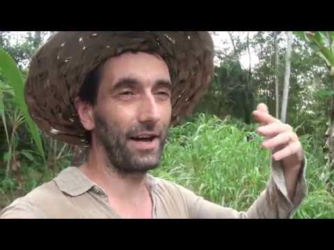 beekeeping gloves #3 Easy No-dig Garden Method - Results!