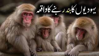 Yahudiyon Ka Bandar Banni Ka Waqia David Dawud Qasas Ul Anbiya Waqia Quran Sabir Voice