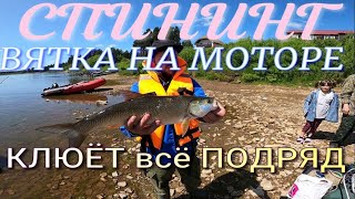 Клюёт всё Подряд на СПИНИНГ.ВЯТКА МОТОР ПОЕХАЛИ