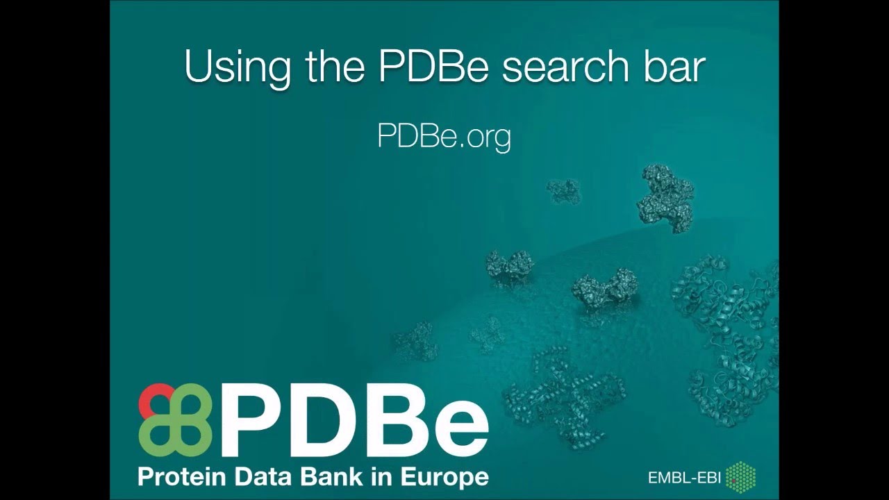 PDBe mini tutorial: Using the PDBe search bar - YouTube