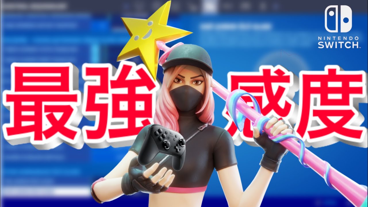 Switchスティック世界一設定紹介 Switch Settings Youtube