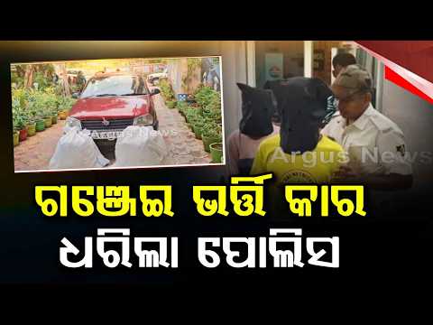 Huge Cannabis Haul in Bhanjanagar: 35kg Ganja Seized from Car, 2 Arrested | Argus News