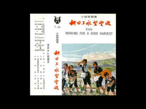Chinese Music - Violin - 新运河 New Canal