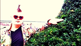 Ipsity - Slack Off (Official Music Video)
