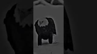 aajmaogetobahutburahumai