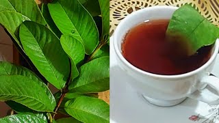 পেয়ারা পাতার উপকারী চা রেসিপি।Guava Leaf Tea recipe.. 👌