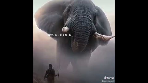 سورة الفيل بصوت جميل جدا💕"