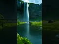 Quran Recitation with Urdu Translation | Understand the Words of Allah with Heart-Touching Meaning