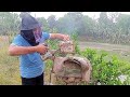 অভিনব কায়দায় দেখুন কিভাবে মৌমাছির চাক ভাংতেছে