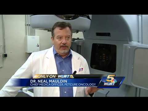 new-cancer-treatment-available-in-cincinnati-for-small-dogs,-cats