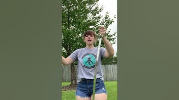 Sabre Backhands - Spintronix Shorts