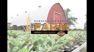 The Hunger Task Force Farm Volunteer. Tour. Give.