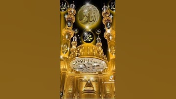 قران كريم تلاوة خاشعه #القزابري #المصحف #duet #دويتو #تيك_توك #لايك #المشيشي #الرحمن