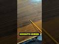 "Mosquito Killer 🦟 😑 "#minivlog #shortsfeed #shorts