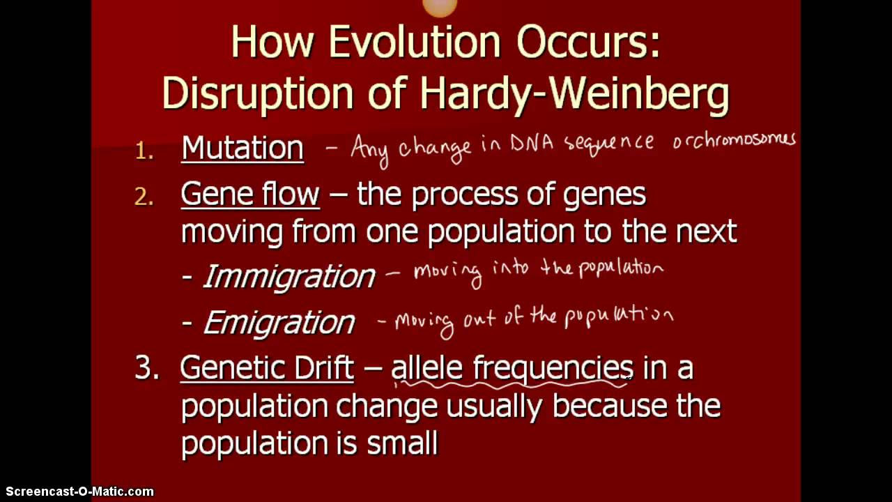 Genetic Equilibrium: Unlocking the Secrets of Hardy-Weinberg ...