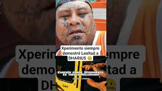 La canción dónde zetta xperimento le tiró a millonario por lealtad a dharius 🤐