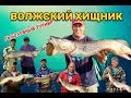 Волжский хищник 2019. Рыболовный турнир